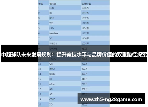 中超球队未来发展规划：提升竞技水平与品牌价值的双重路径探索