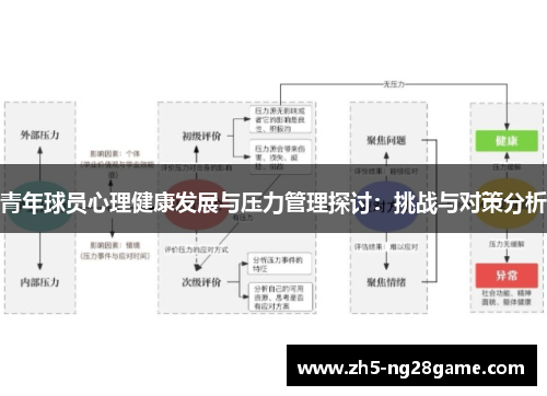 青年球员心理健康发展与压力管理探讨：挑战与对策分析