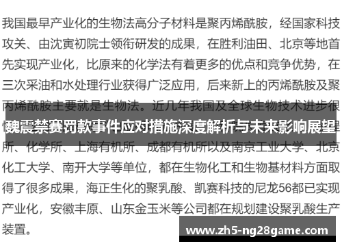 魏震禁赛罚款事件应对措施深度解析与未来影响展望 魏震禁赛罚款事件应对措施深度解析与未来影响展望